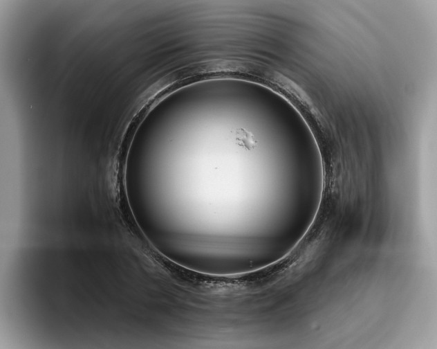 X0000096200786200801181340
