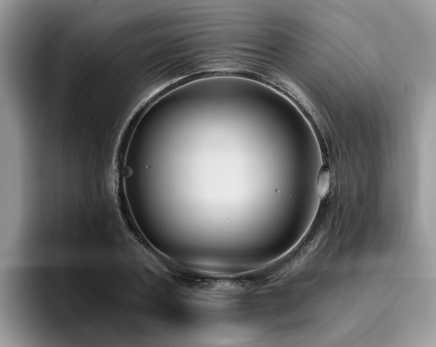 X0000096200787200801181340