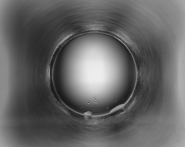 X0000096200790200801181340