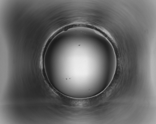 X0000096200791200801181340