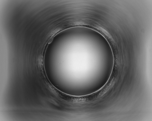 X0000096200793200801181340