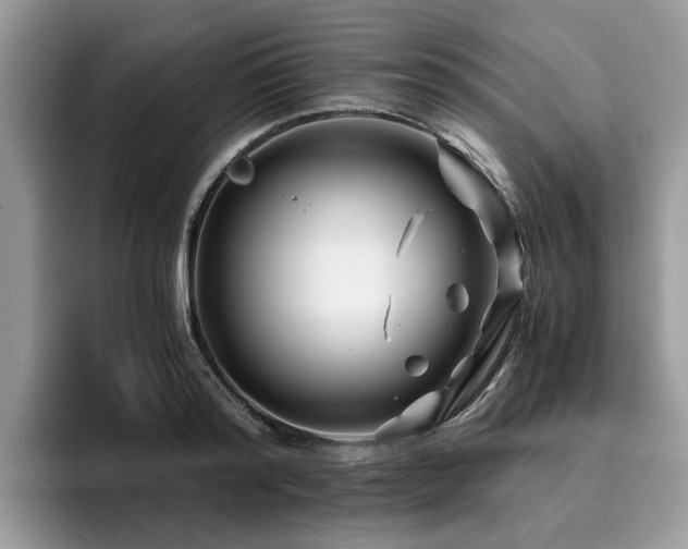 X0000096200796200801181340