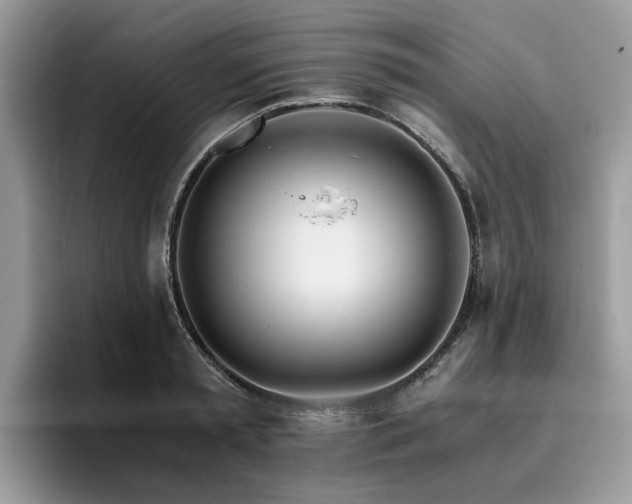X0000096200797200801181340