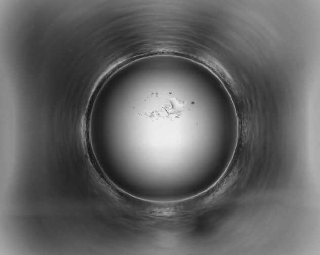 X0000096200798200801181340