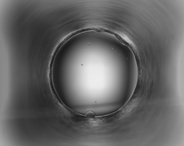 X0000096200799200801181340