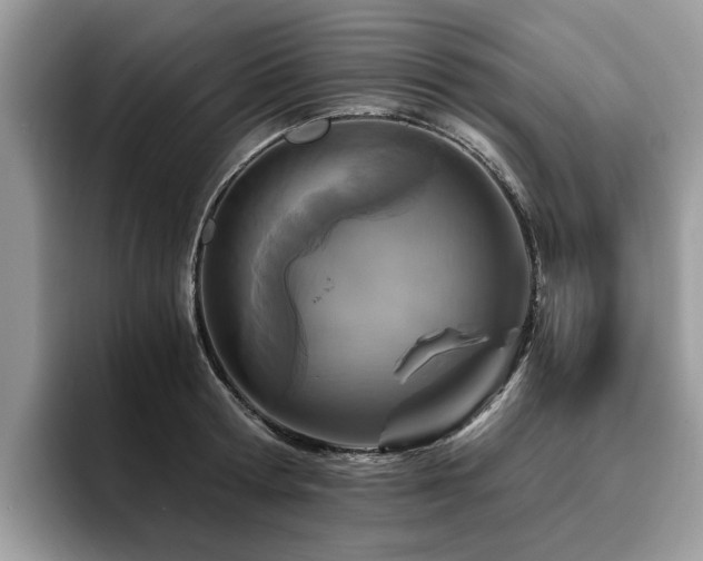X0000096200802200801181340