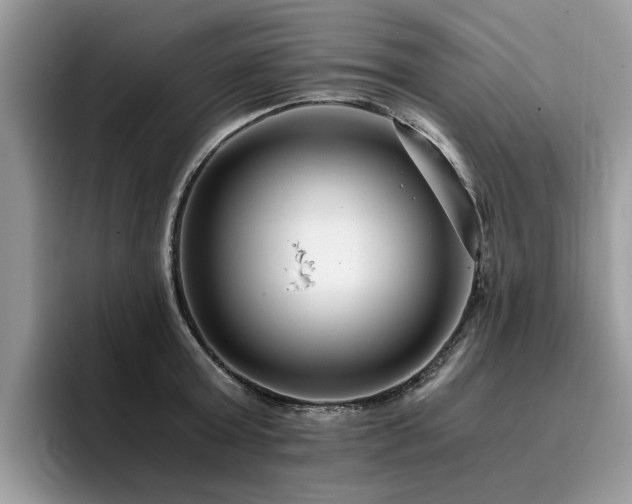 X0000096200803200801181340