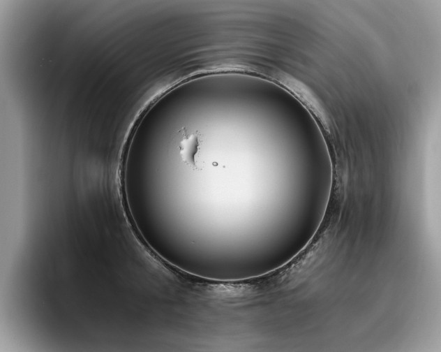 X0000096200805200801181340