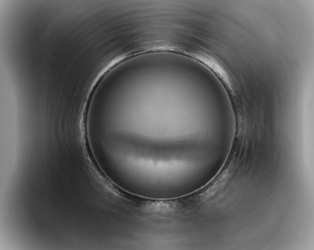 X0000096200806200801181340