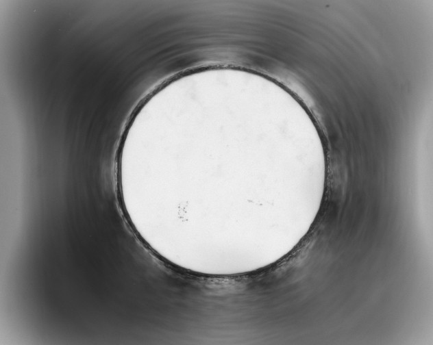 X0000096200807200801181340