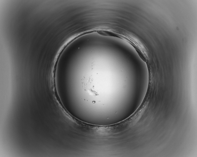 X0000096200808200801181340