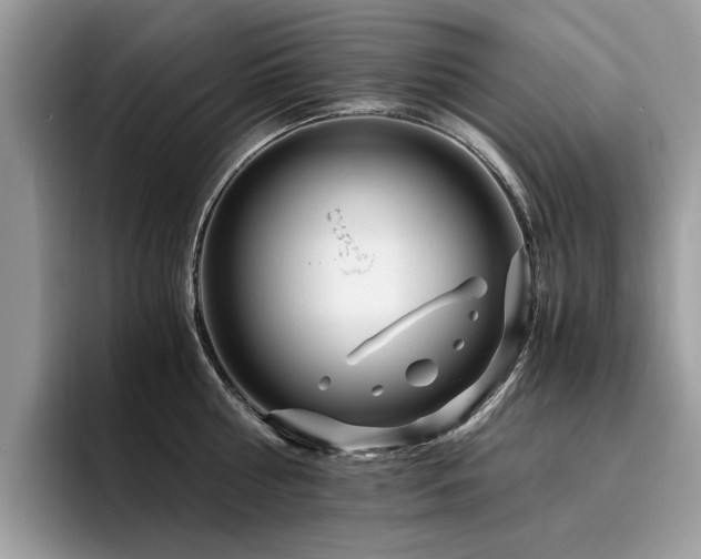 X0000096200810200801181340