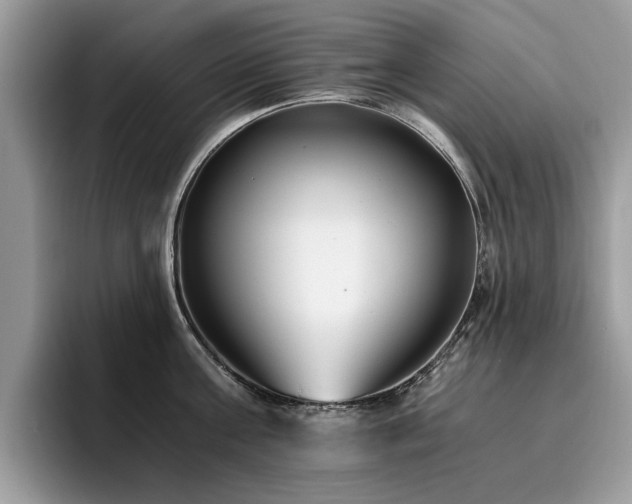 X0000096200811200801181340