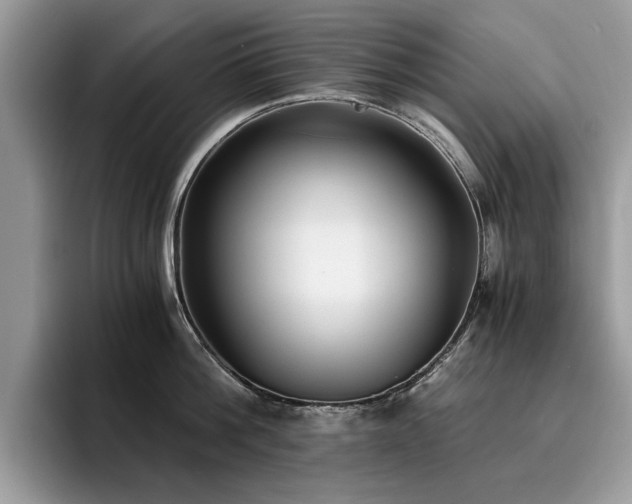 X0000096200812200801181340