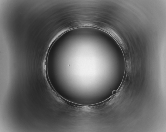 X0000096200814200801181340