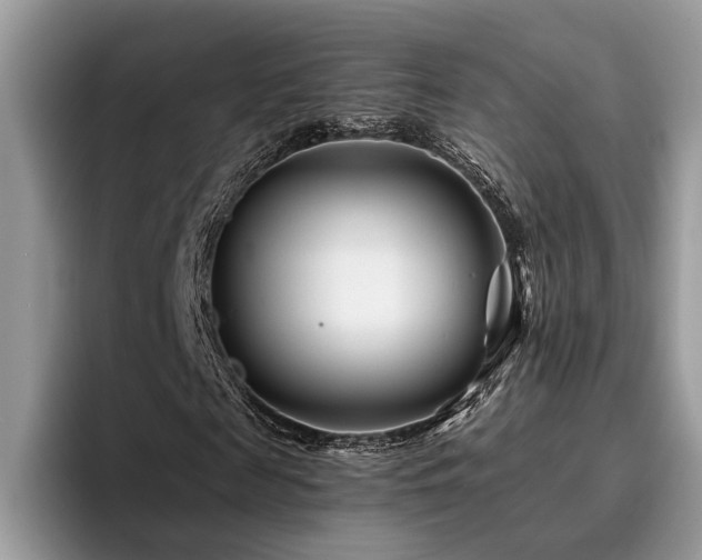 X0000096200817200801181339
