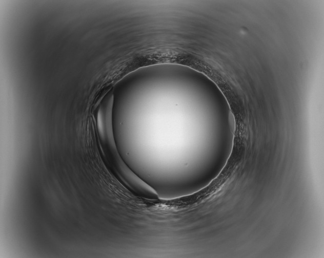 X0000096200818200801181339