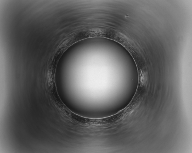 X0000096200819200801181339