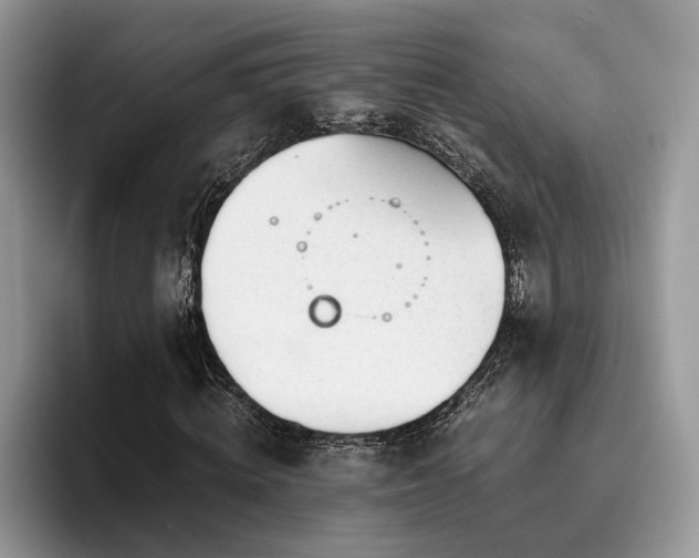 X0000096200820200801181339