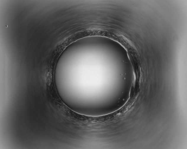 X0000096200821200801181339