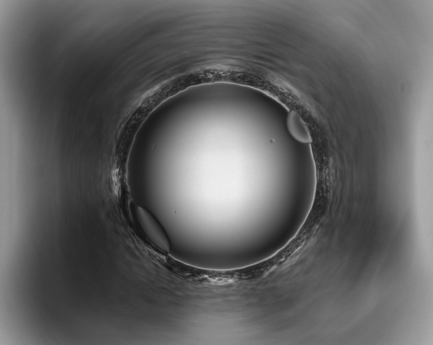 X0000096200822200801181339