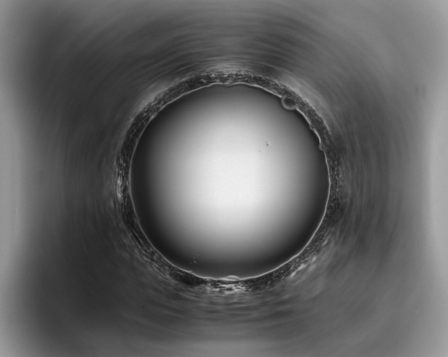 X0000096200823200801181339