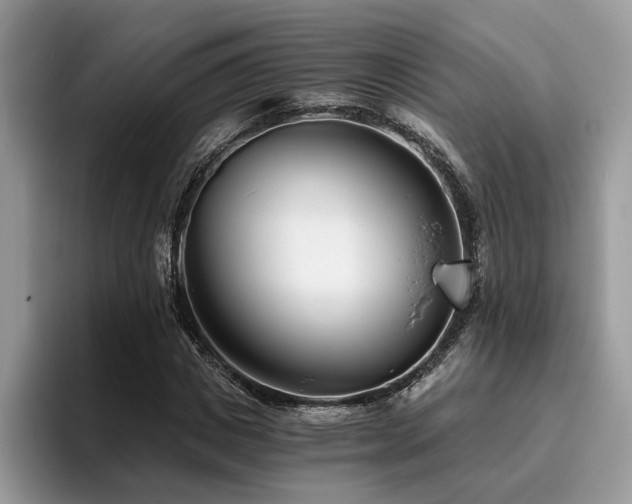 X0000096200825200801181339