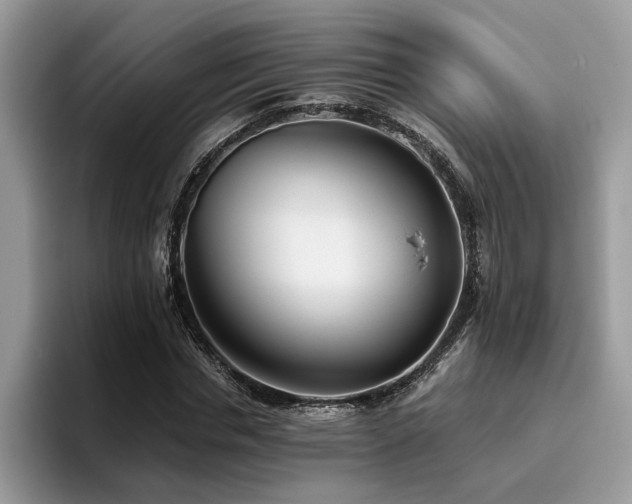 X0000096200826200801181339