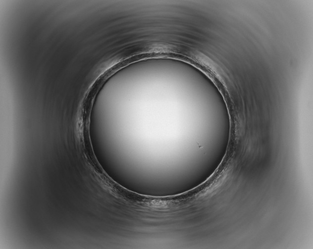 X0000096200827200801181339