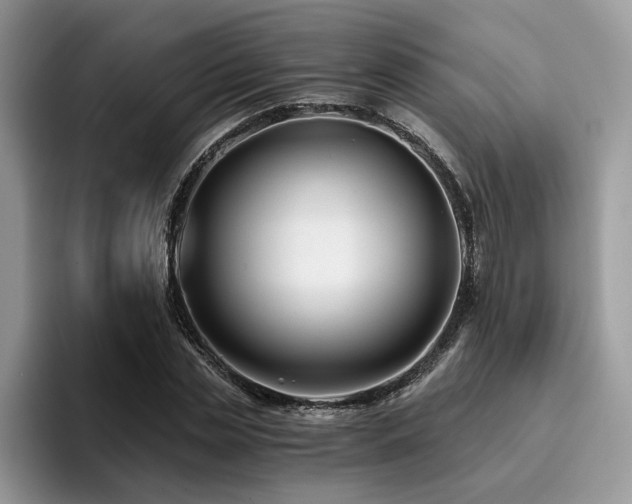 X0000096200829200801181339