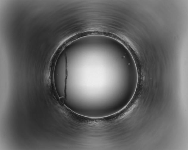 X0000096200830200801181339