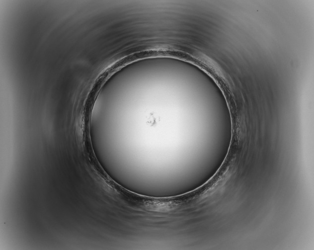X0000096200831200801181339