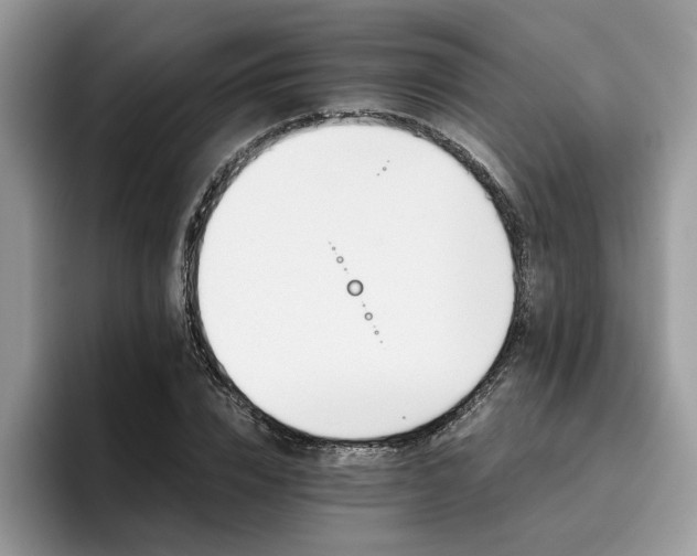 X0000096200832200801181339