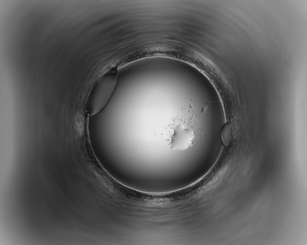X0000096200833200801181339