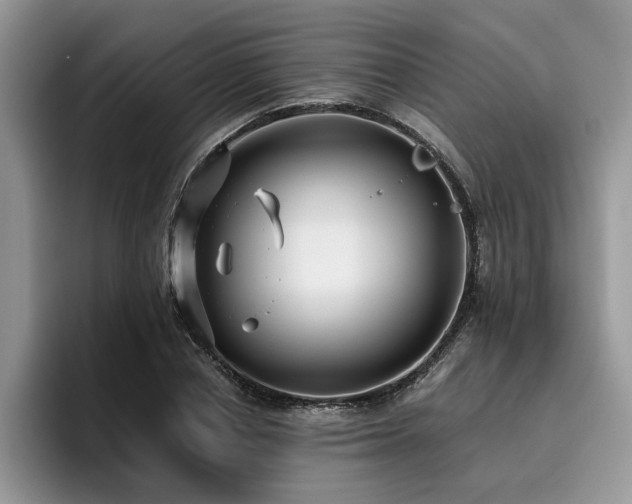 X0000096200834200801181339