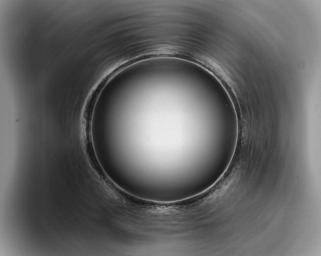 X0000096200835200801181339