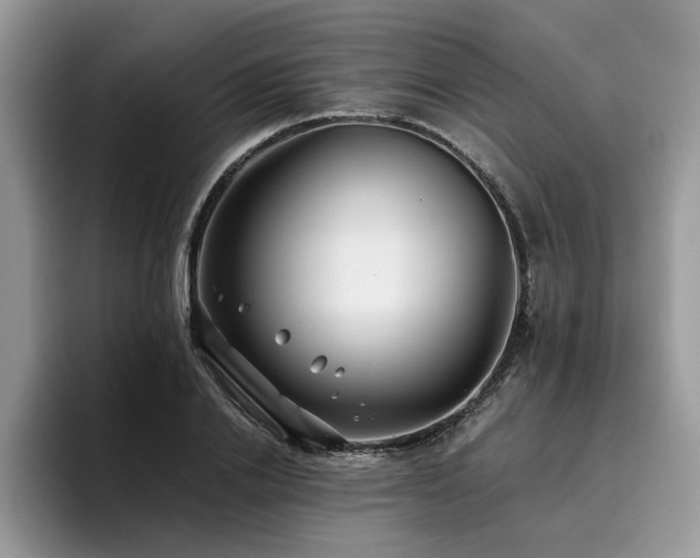 X0000096200838200801181339