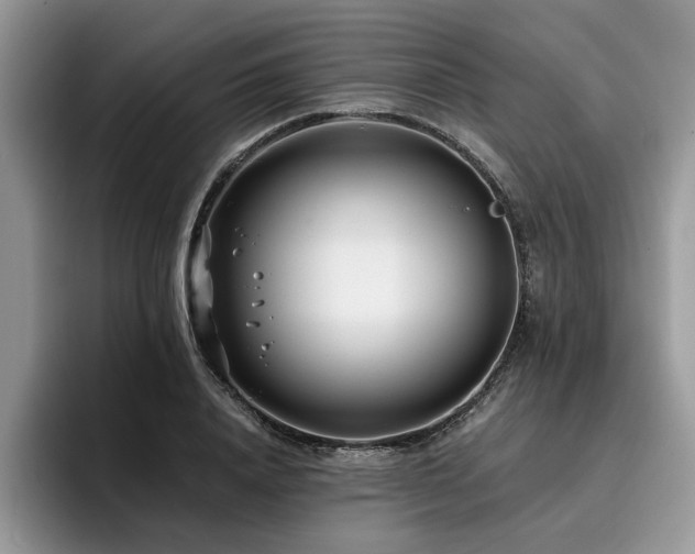 X0000096200840200801181339