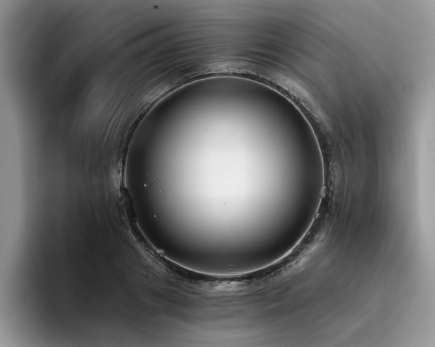 X0000096200841200801181339