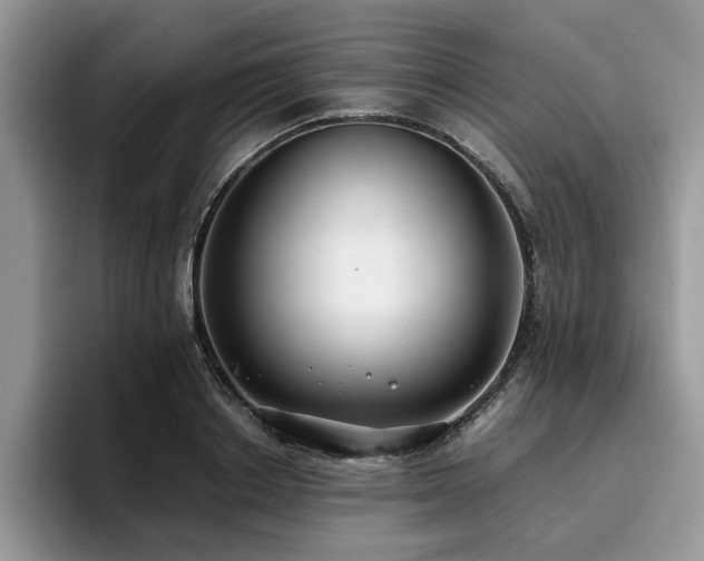 X0000096200842200801181339