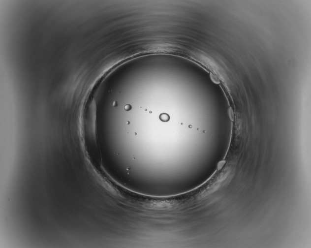 X0000096200843200801181339