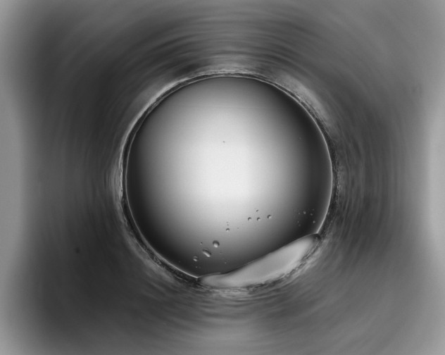 X0000096200844200801181339