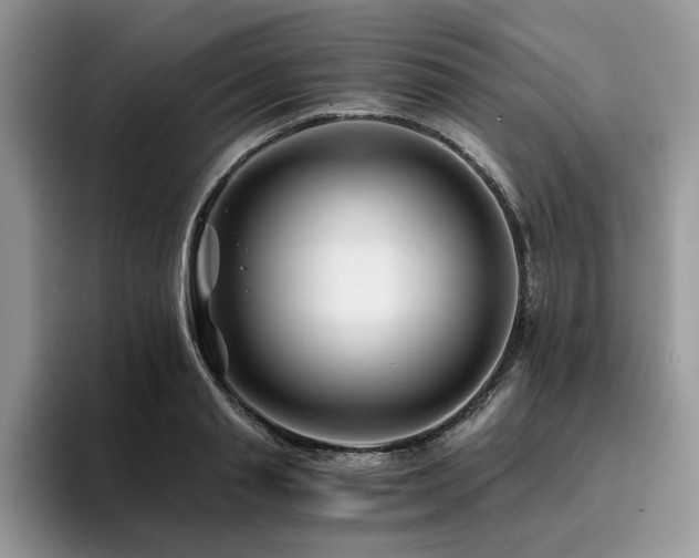X0000096200845200801181339