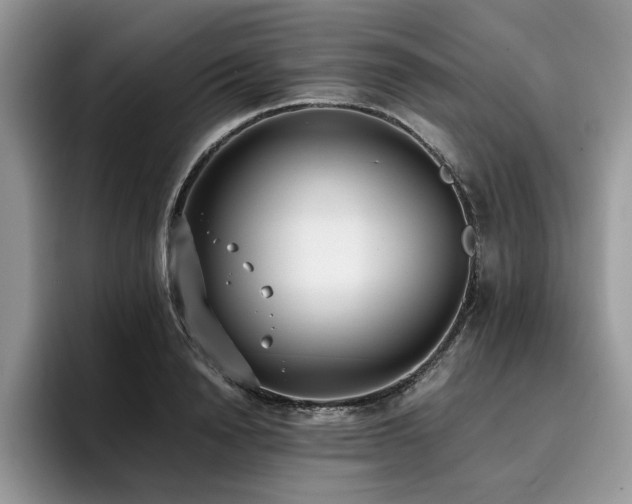 X0000096200846200801181339