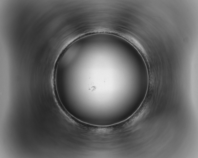 X0000096200847200801181339