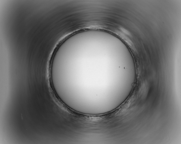 X0000096200848200801181339