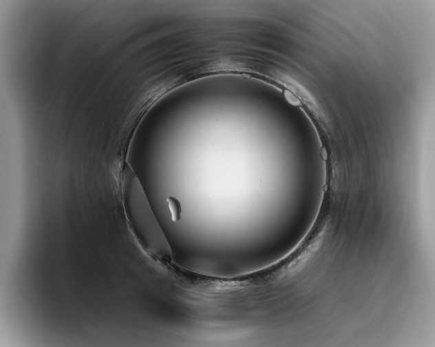 X0000096200849200801181339
