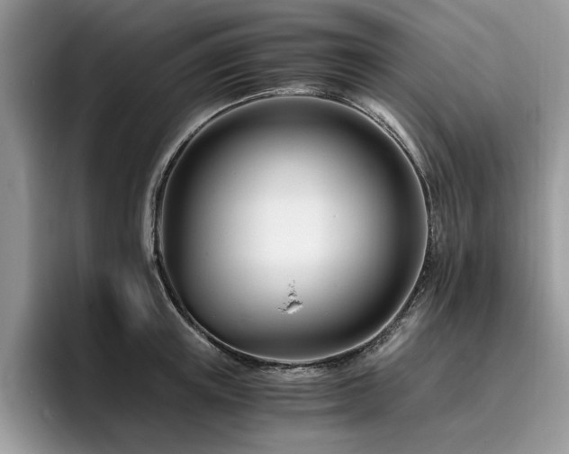 X0000096200851200801181339