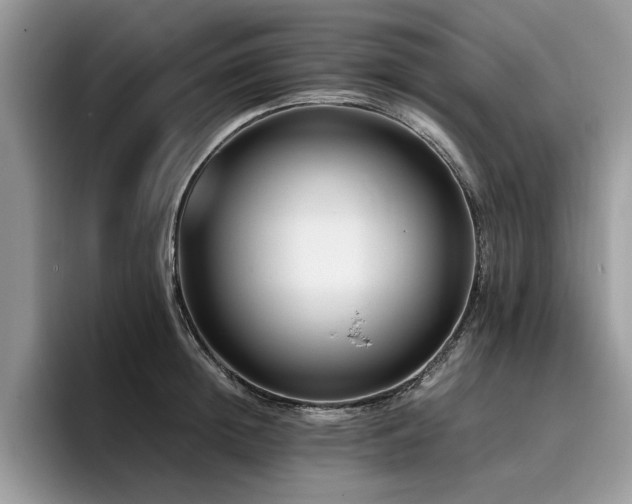 X0000096200852200801181339