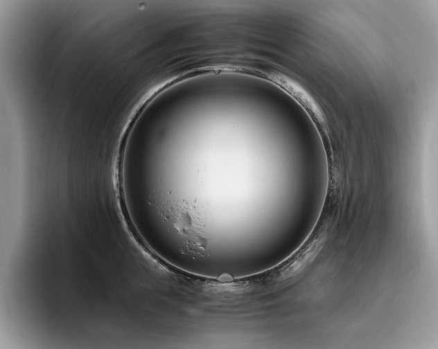 X0000096200855200801181339
